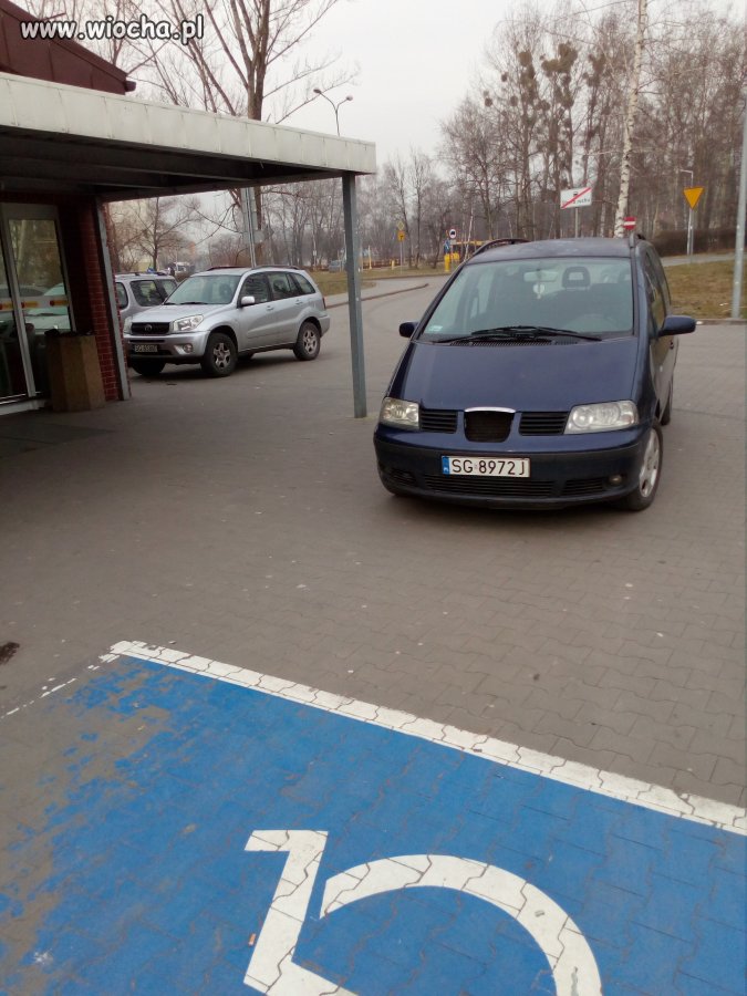 Święte krowy istnieją