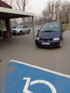 Święte krowy istnieją