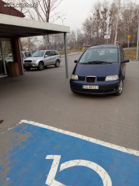 Święte krowy istnieją