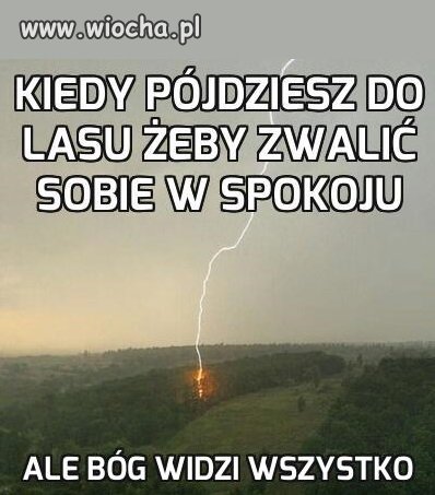 Kiedy pójdziesz do lasu