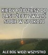 Kiedy pójdziesz do lasu