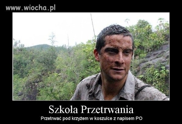 Przetrwać
