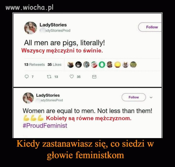 Logika feministek