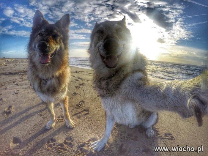 Selfie