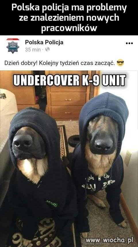 Ale gatunek się zgadza