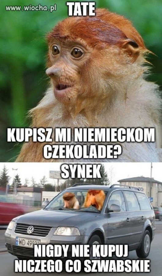 Woldzwagen to polska marka przecież