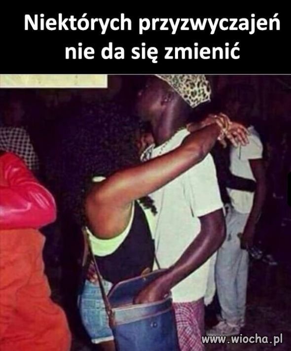 Instynkt