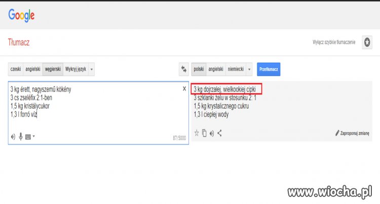 Tłumacz Google zawsze pomoże