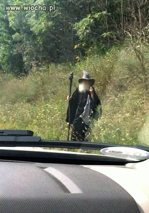 Jedziesz sobie, a tu Gandalf