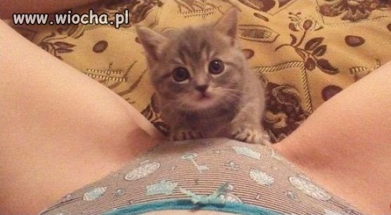 Gdzie pachnie rybami?