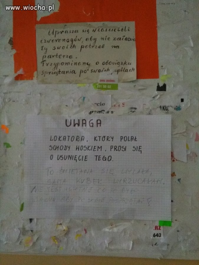 S?siedzi 