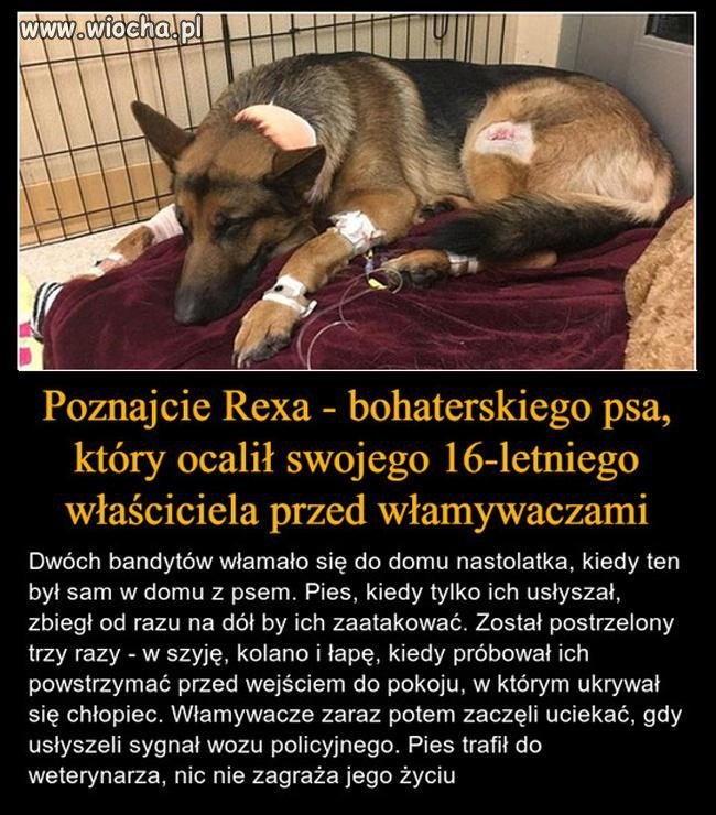 Kiedy próbujesz okraść dom