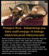 Kiedy próbujesz okraść dom