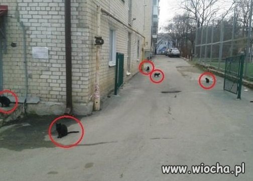 W piątek 13stego