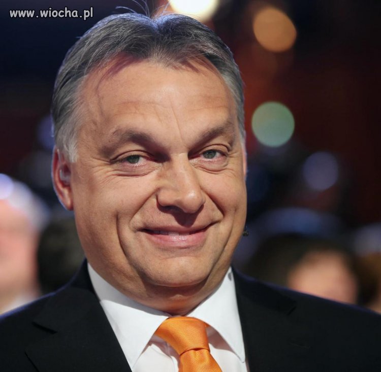Gość który robi nas w chu.a dla własnego interesu