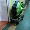 W kolejce po 500+