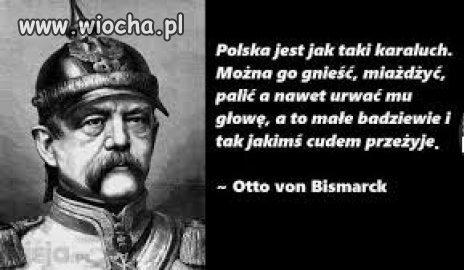 Otto