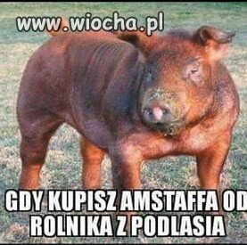 Bez urazy...