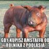 Bez urazy...