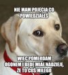 Kto nasrał na dywan?!