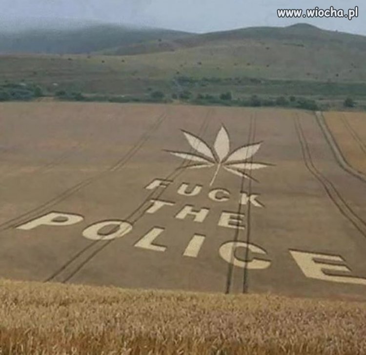 Gdzieś w Ameryce 
