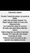 Ciekawostki