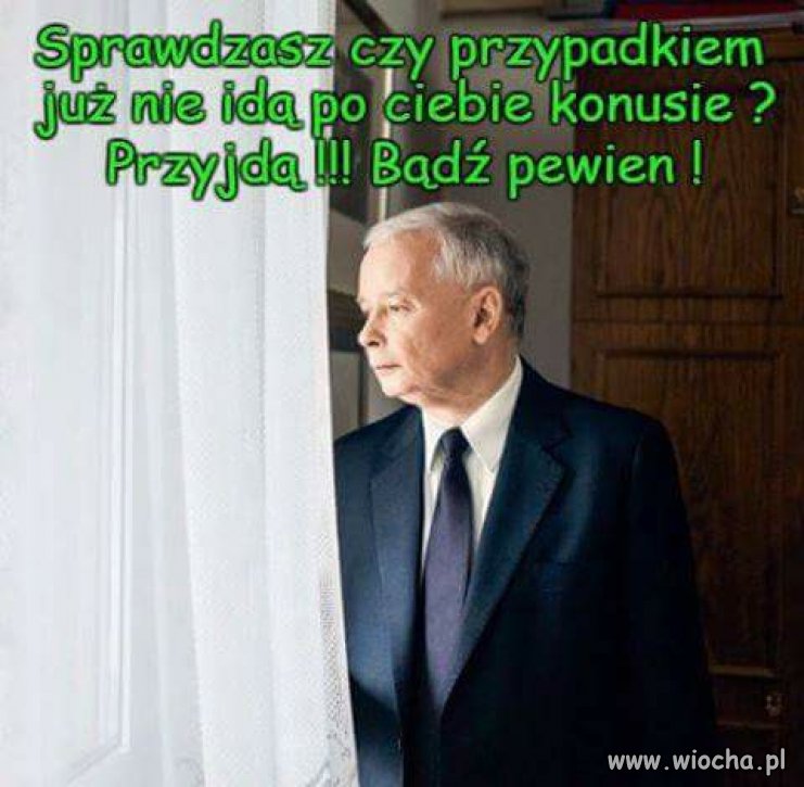 Sprawdzaj sprawdzaj 