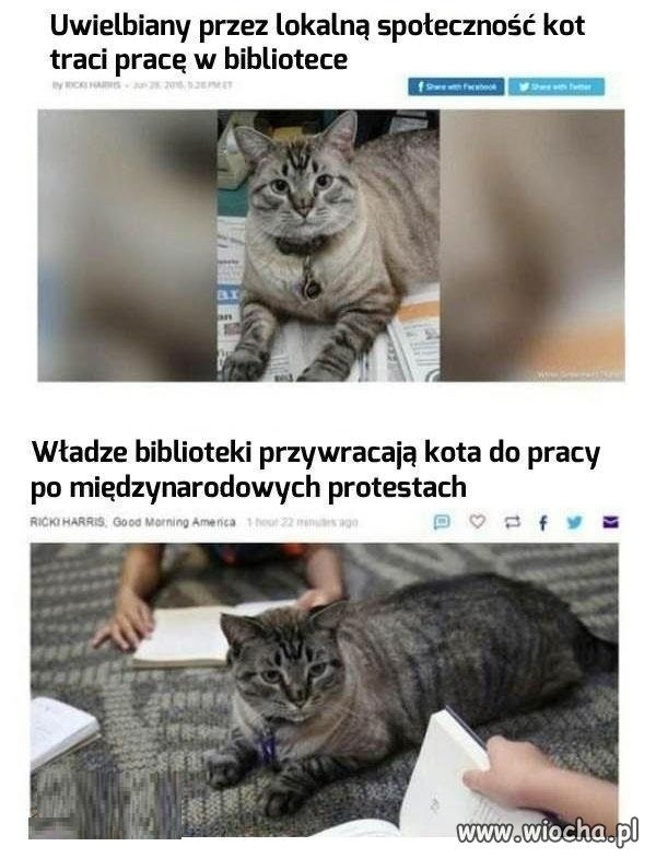 Biblioteczny kitku