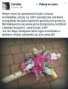 Bez komentarza.