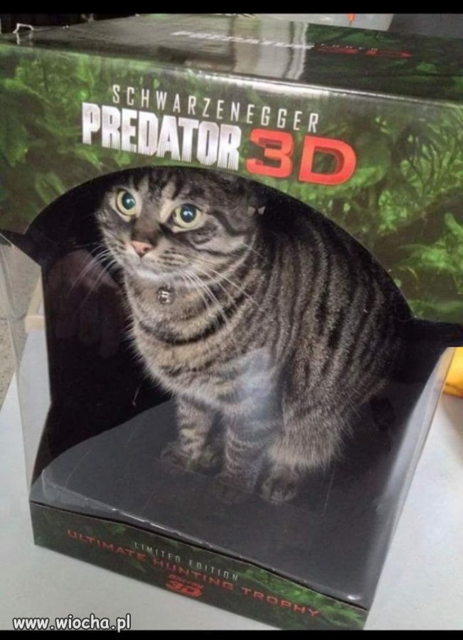 Nowe figurki z Predatora wyglądają tak