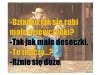Dziadkowie są nie do zastąpienia