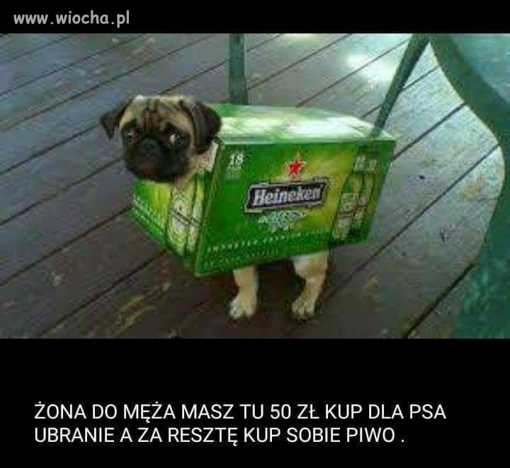 Kup coś dla psa