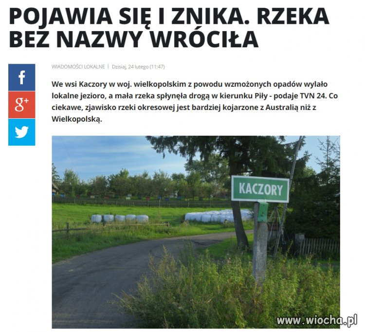 Jak nierządy Kaczora. Pojawiły się i zniknął!  