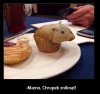 -Mamo, Chrupek zniknął!