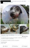 Tego nie będę komentować