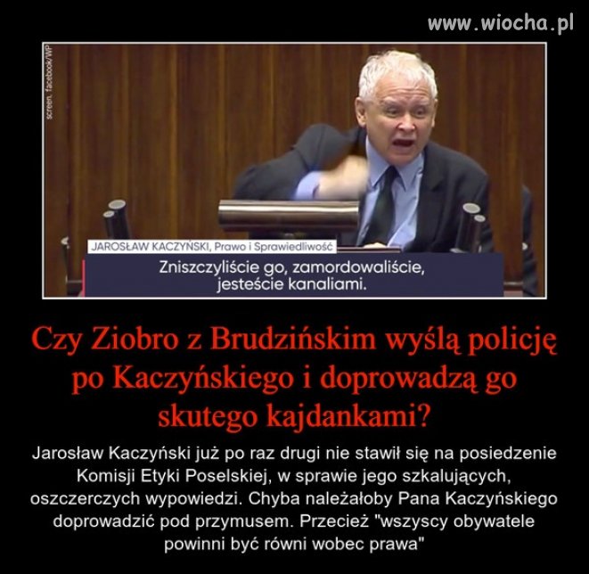 Wszystkie zwierzęta są równe ...