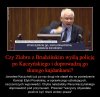 Wszystkie zwierzęta są równe ...