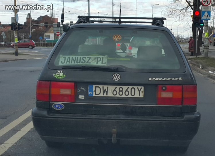 Janusz PL 100%