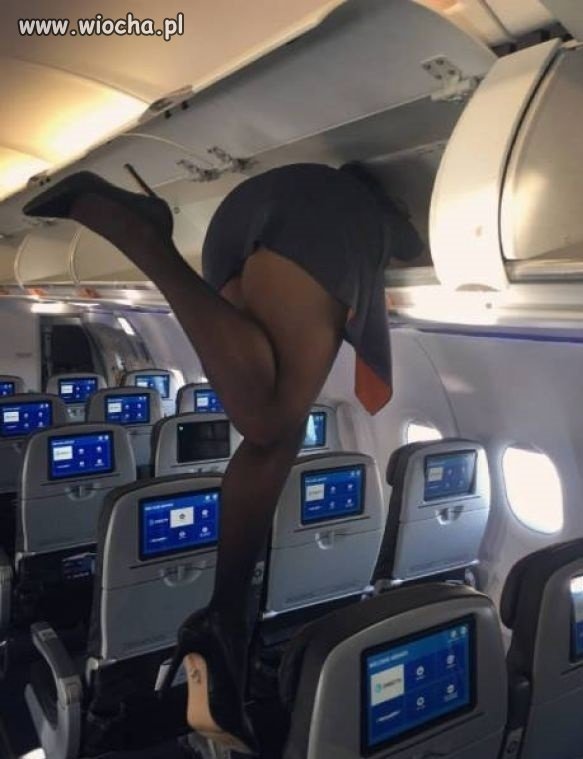 Stewardesska