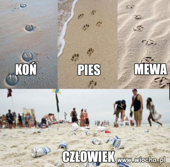 Człowiek
