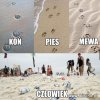 Człowiek