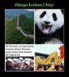 W Chinach zakazano posiadania Koranu 