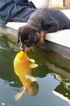 Kiss.