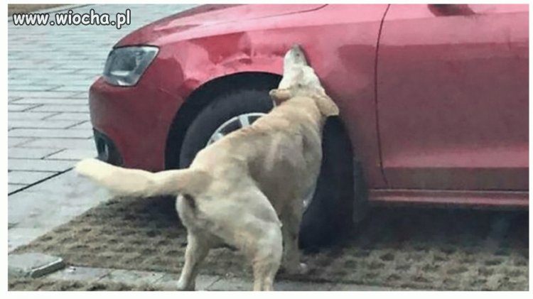Głodny nie jesteś sobą