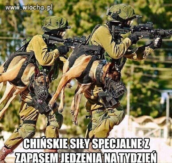 Głodni nie będą