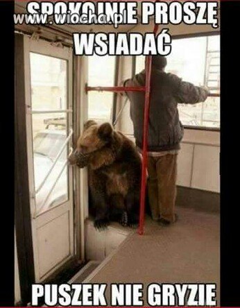 Nie gryzie.Łyka w całości.