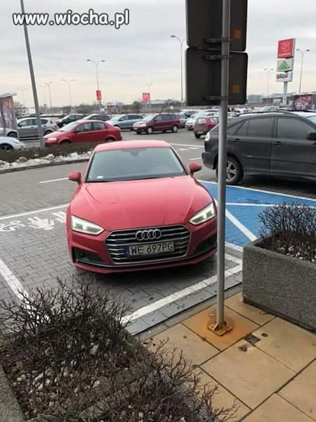 "Miszcz" parkowania.