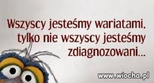 Motto na dziś.