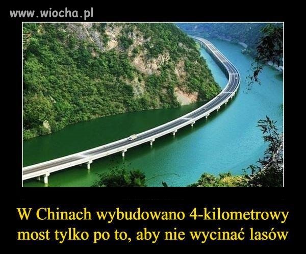A w Polsce 