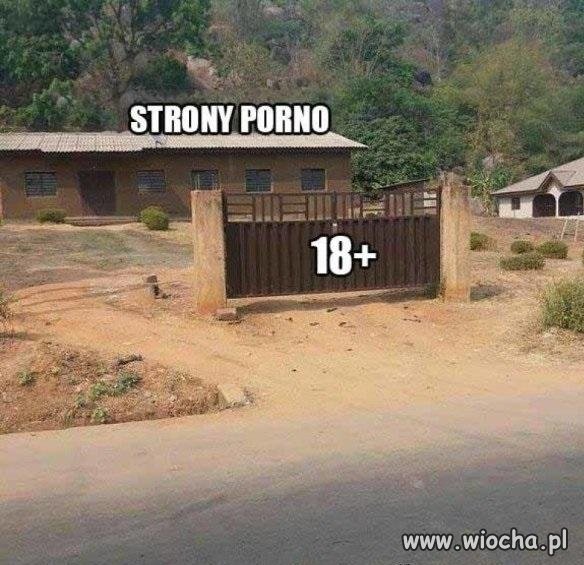 Erotyka w sieci
